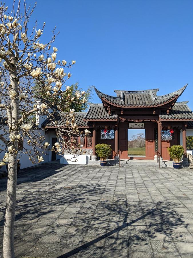 High Point Guesthouse - Next To Seattle Chinese Garden Kültér fotó